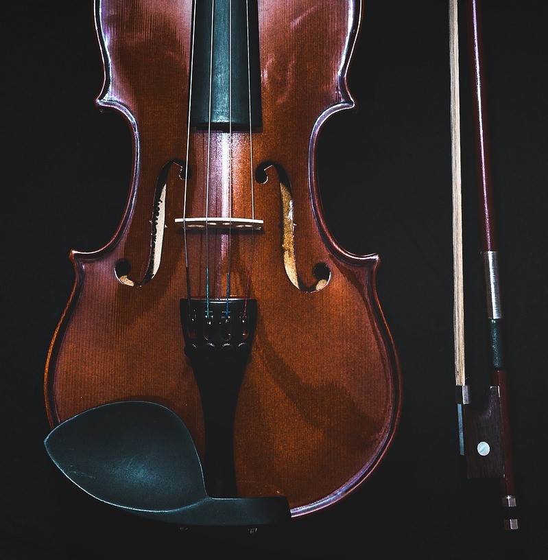 instrument de musique archet expertise lausanne expertise instrument de musique
